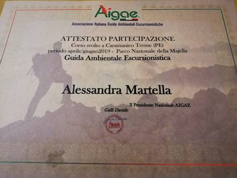 Guida aigge