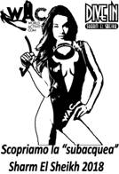 Sharm el sheikh 2018