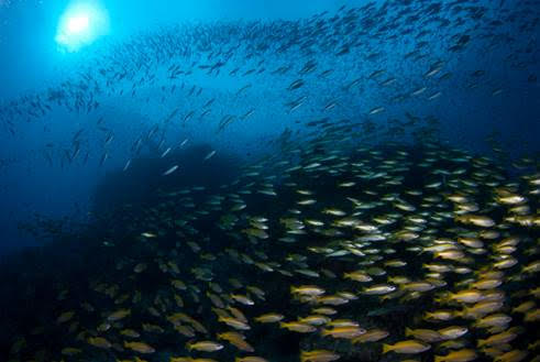 Si ricomincia con il WAC